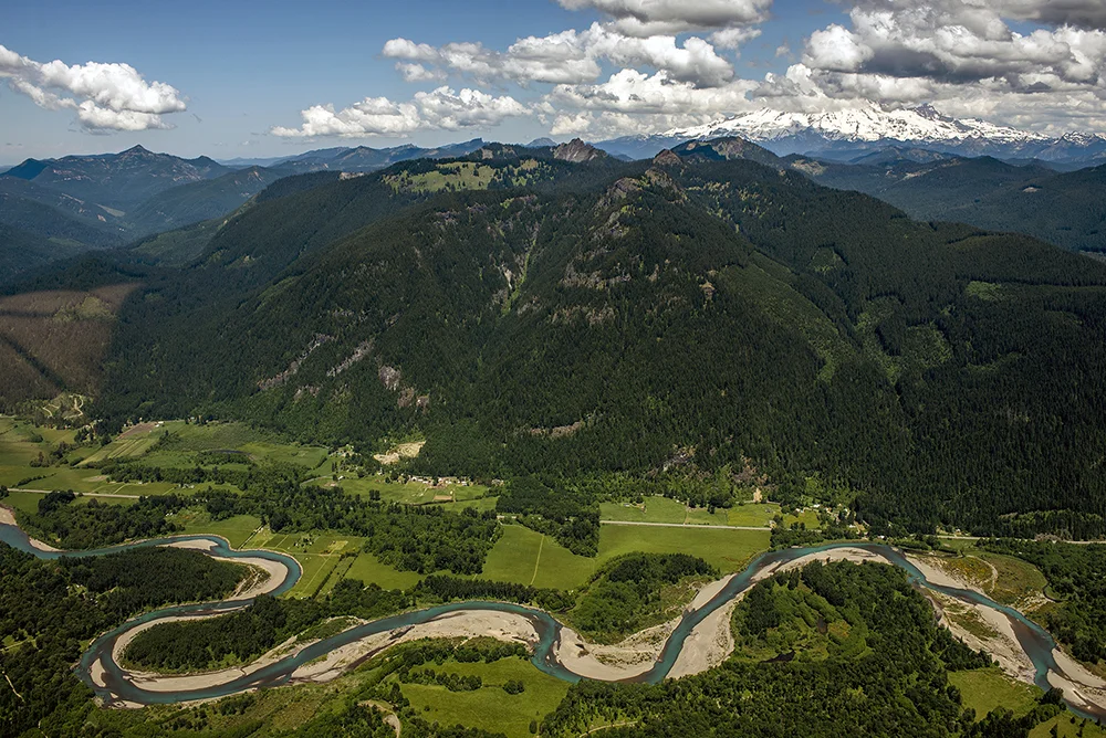 In this aerial photo taken on Thursday, May 28, 2015, Mount Rainier looms to the north as the Cowlitz River winds its way through Randle, Wash. and the Cowlitz River Valley.