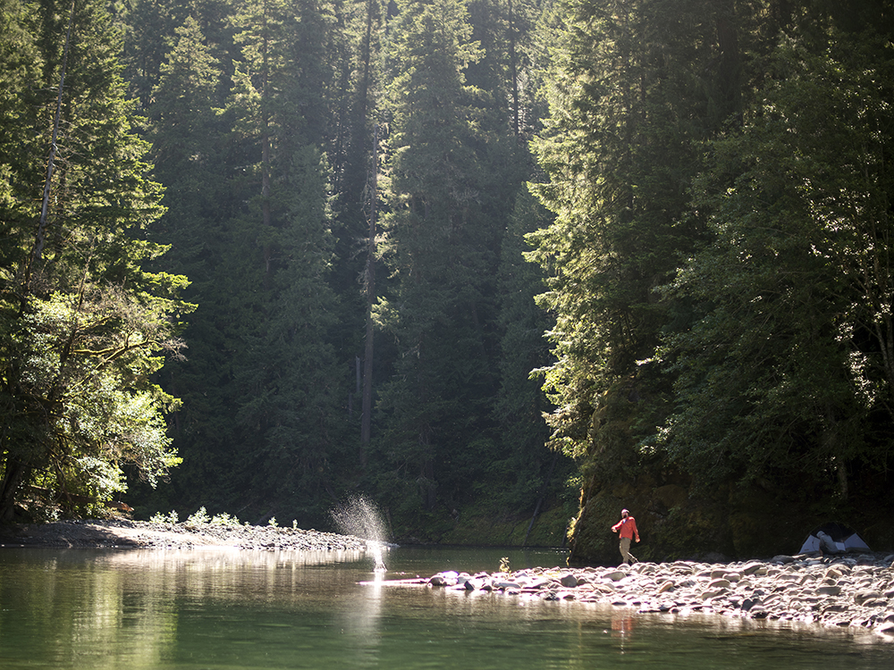 A camper skips a stone into the Ohanapechosh River while hanging out on the morning of Friday, June 5, 2015 off of Forest Road 1270 east of Packwood.