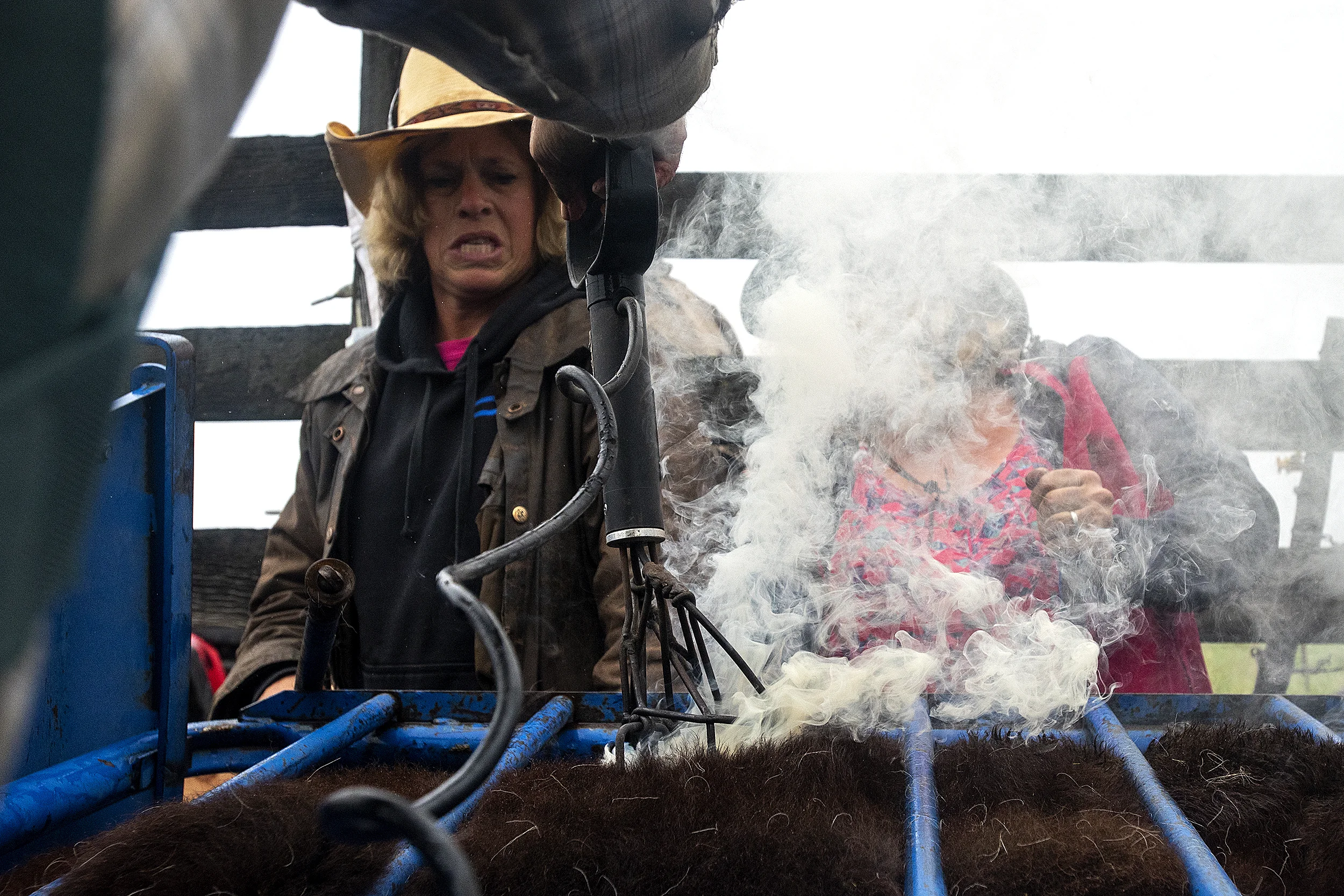  Shelley Loshbaugh, left, and Heidi Lyngstad, of Deer Park, react as Tom Weatherly singes the hide of a calf with an electric branding iron on Saturday. 