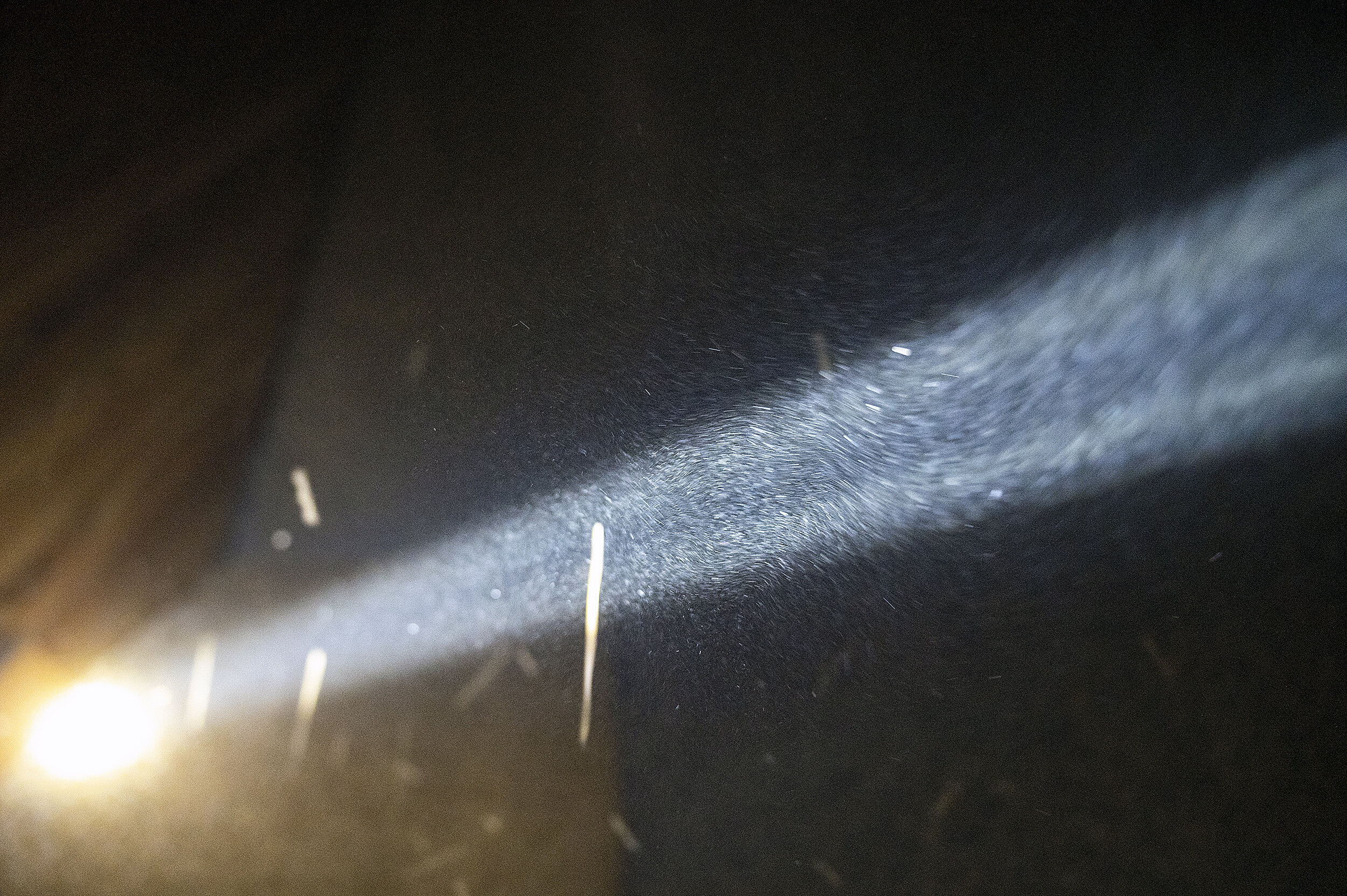  Particles of grain are illuminated by Tony Egland’s flashlight as he shows how one of the storage areas is almost empty after a bumper crop this summer. 