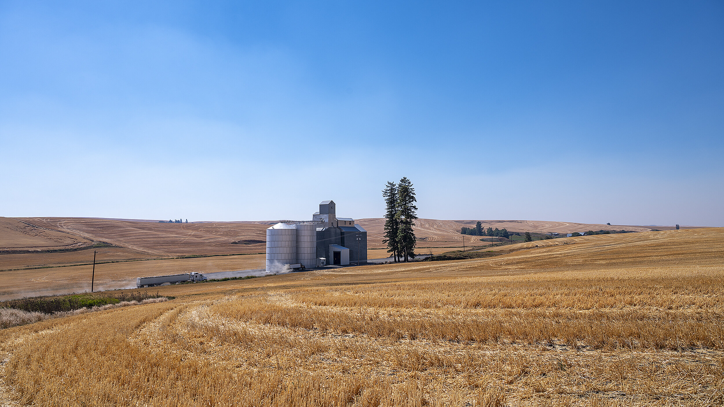  Almost like Alcatraz, the Leon Elevator sits alone in a sea of grain practically spitting distance from the Washington-Idaho border. Warehouseman Tony Egland works the station all by himself during harvest. But, by no means is it a jail sentence, he