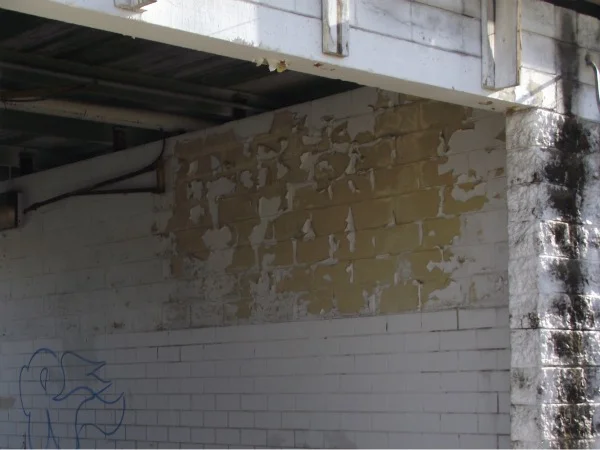 cbcarwash3.jpg
