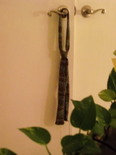 cbtiedoneplant.jpg