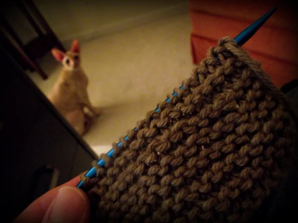 cbcontystitch.jpg