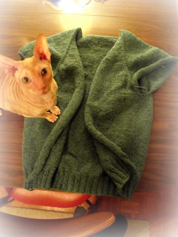 cbnewsweater7.jpg