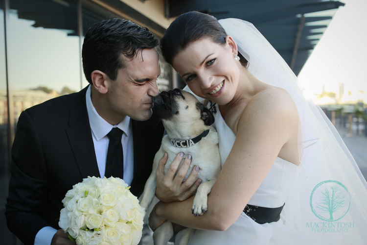 Sydney Wedding couple.