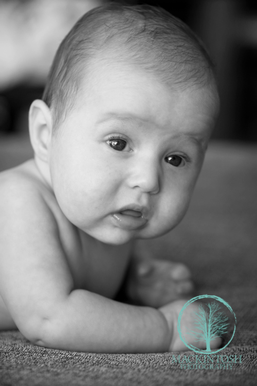 Baby Portraits_06.jpg