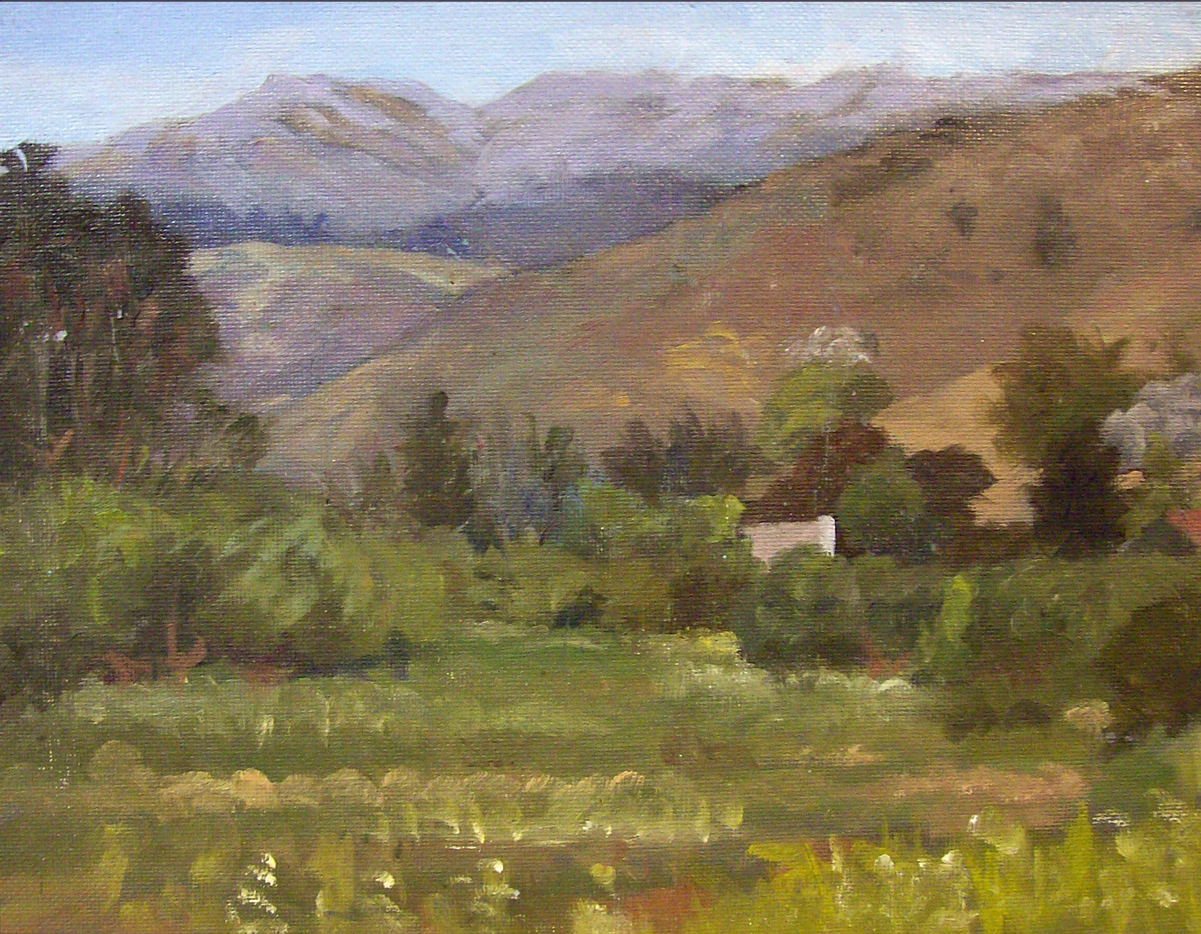 MuirRanch-mountainside.jpg
