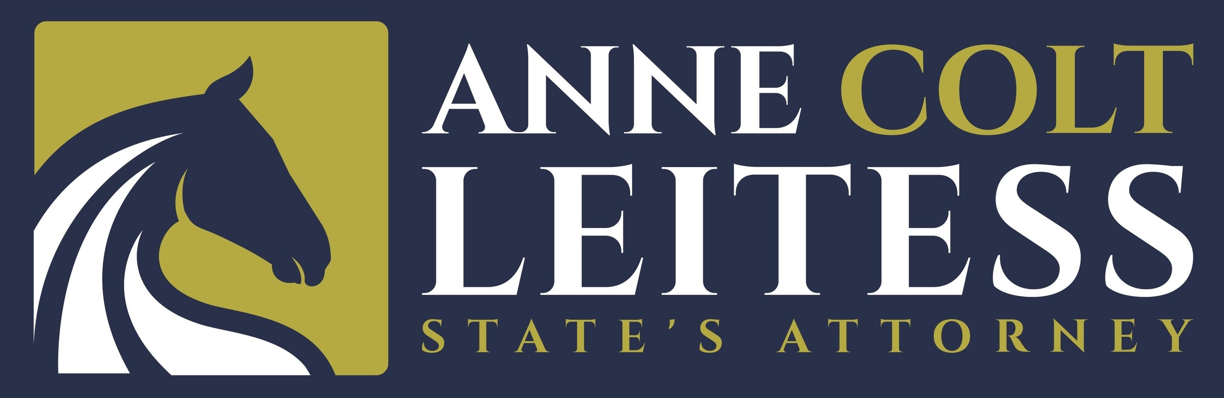 Anne Colt Leitess for State&#39;s Attorney
