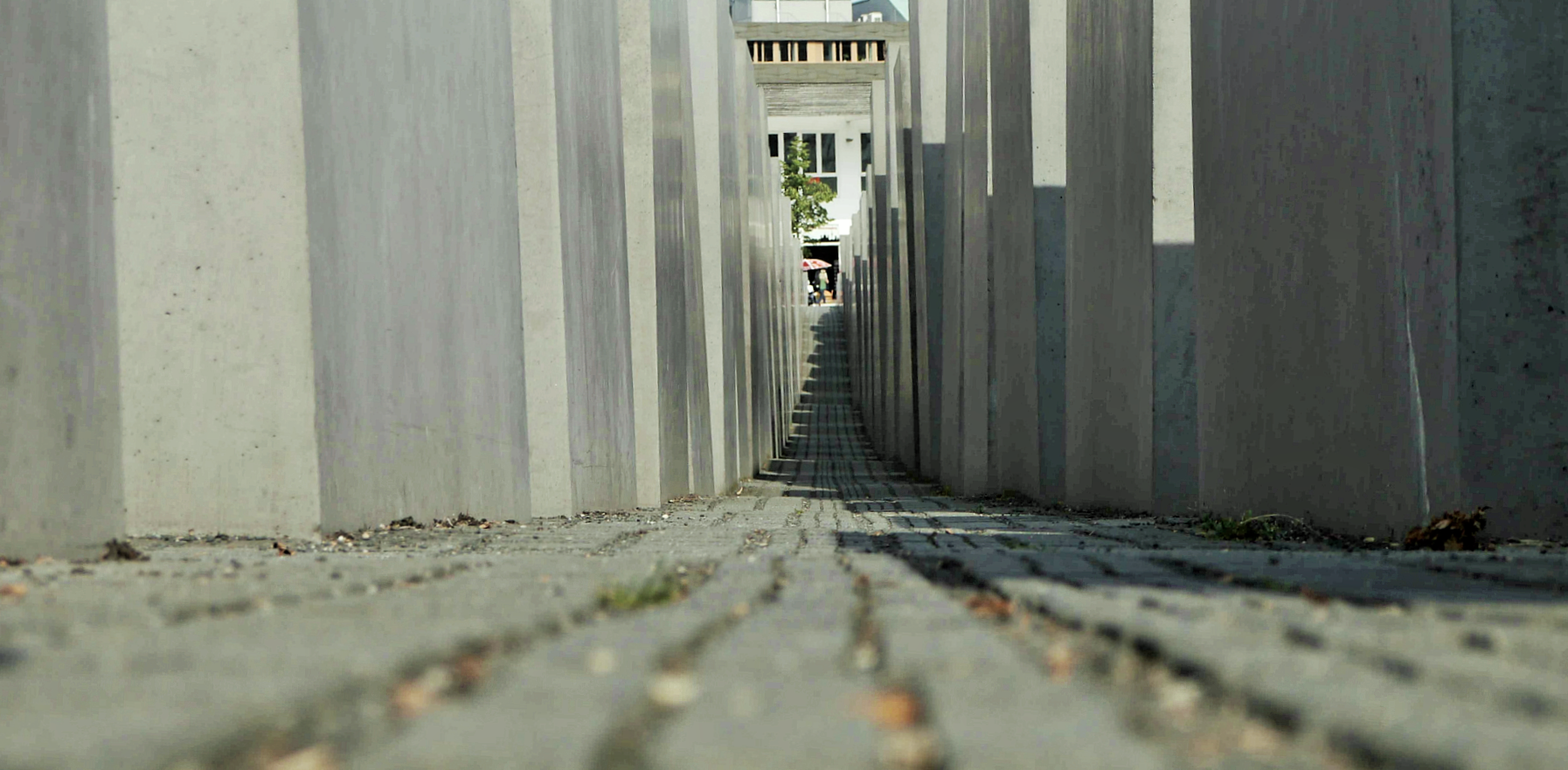 P1020280.png