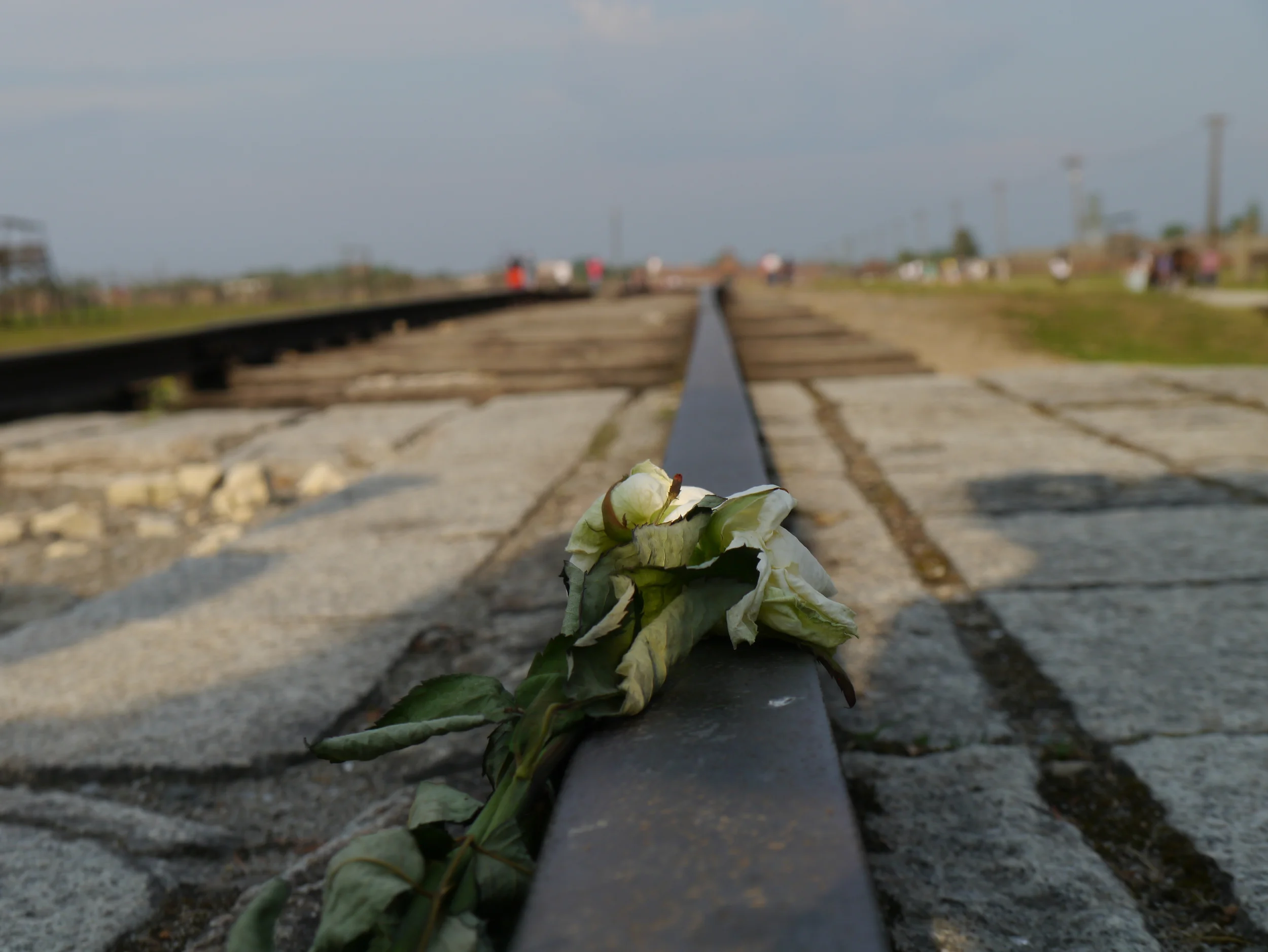 Students reflect on wartime horror during trip to Auschwitz