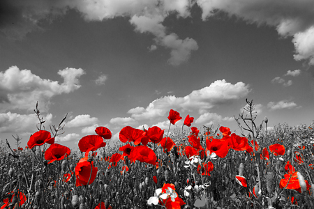 Lest we forget