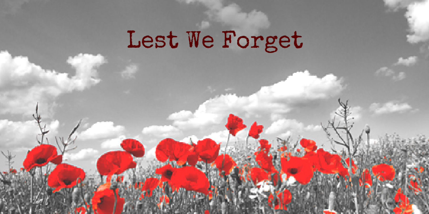 Silence observed to remember fallen soldiers