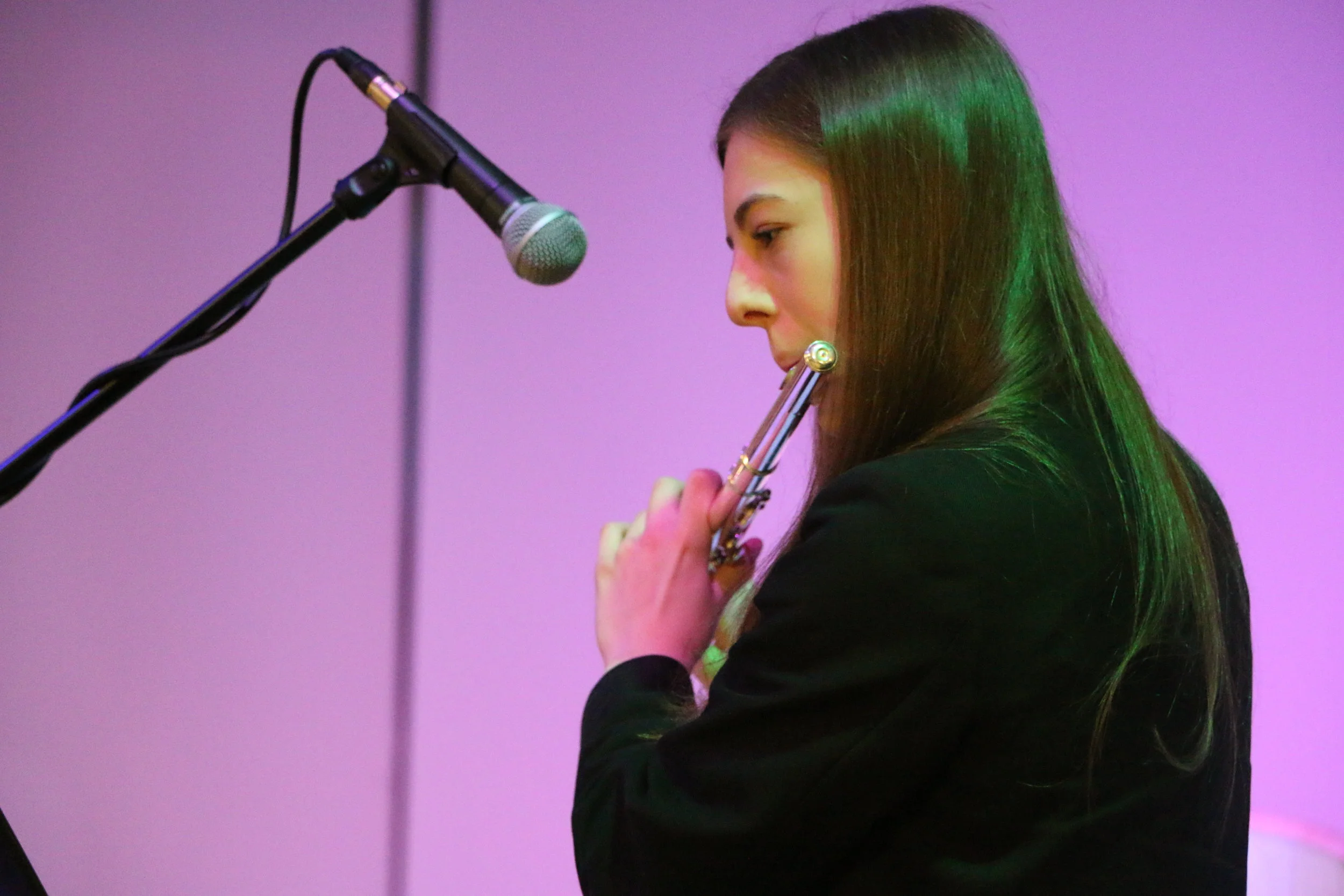 Musical showcase turns volume up on talented students