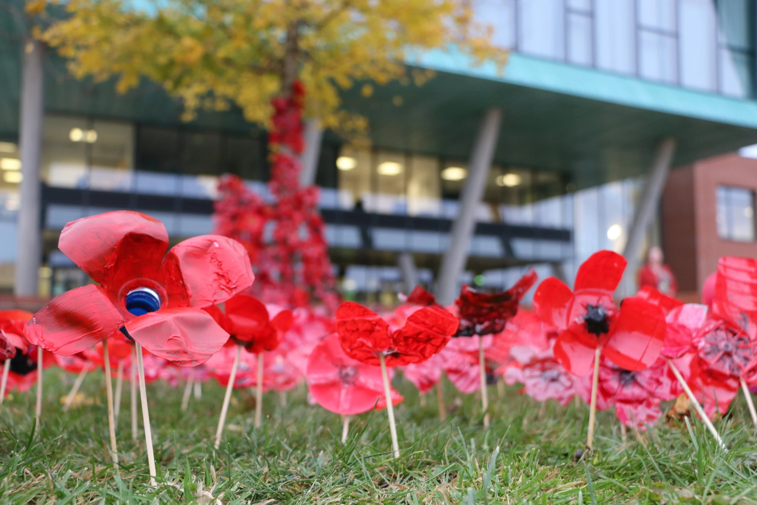 Lest We Forget