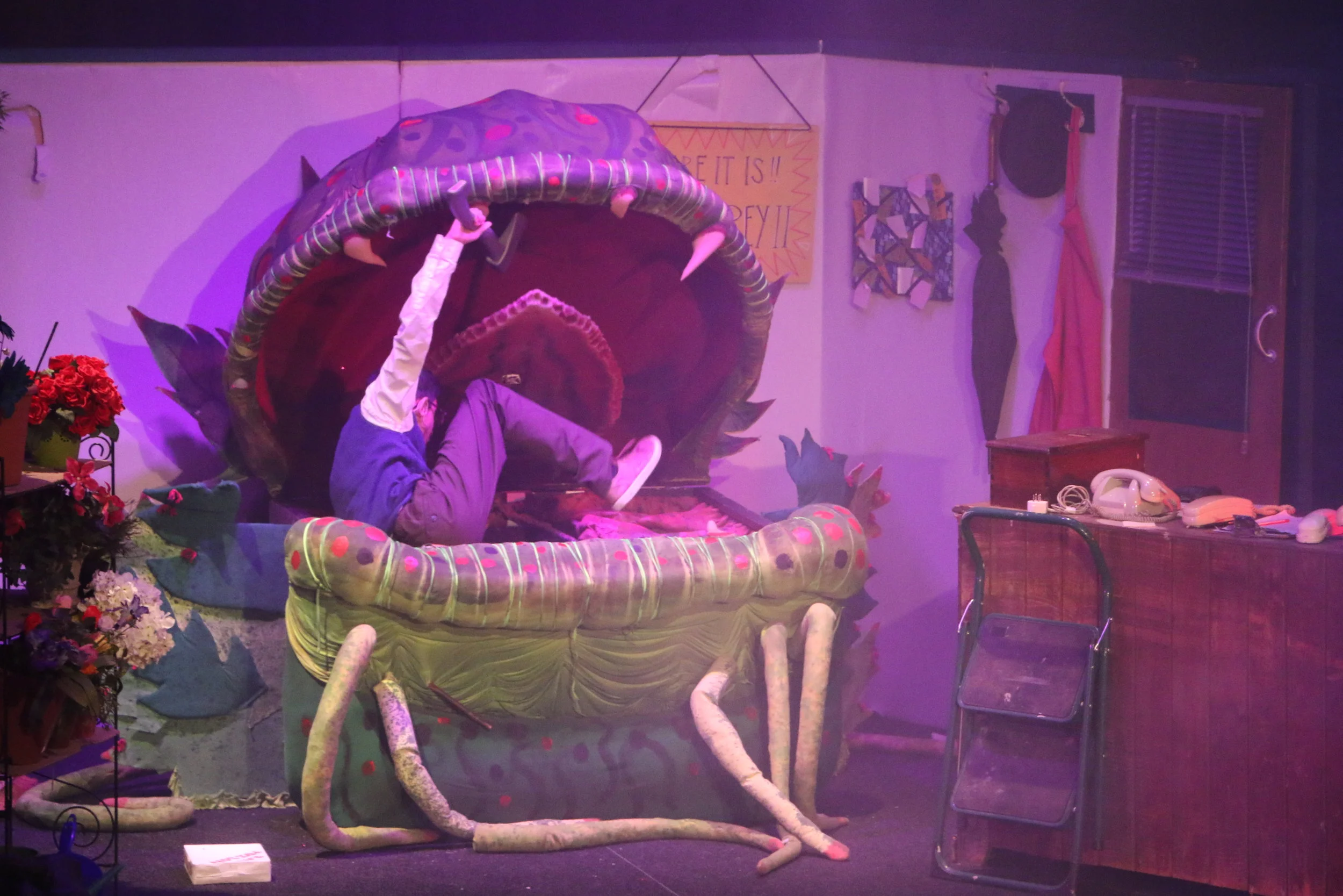 Rave reviews for Little Shop of Horrors