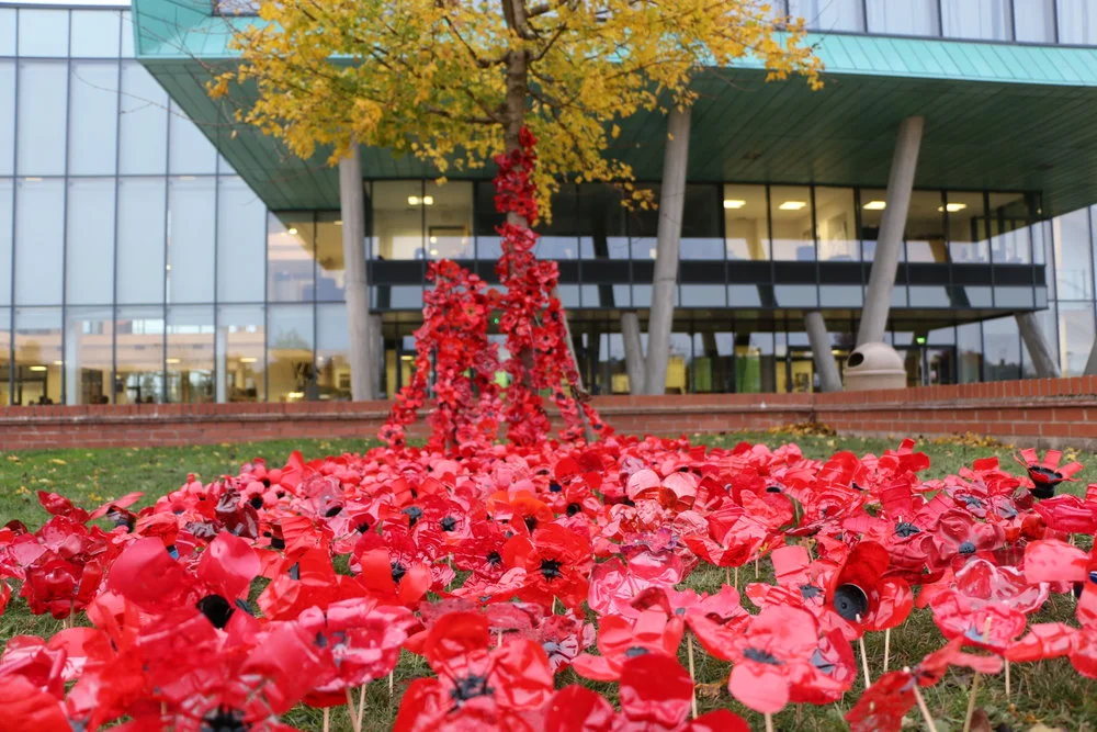 Battlefields trip to remember WW1 sacrifices 