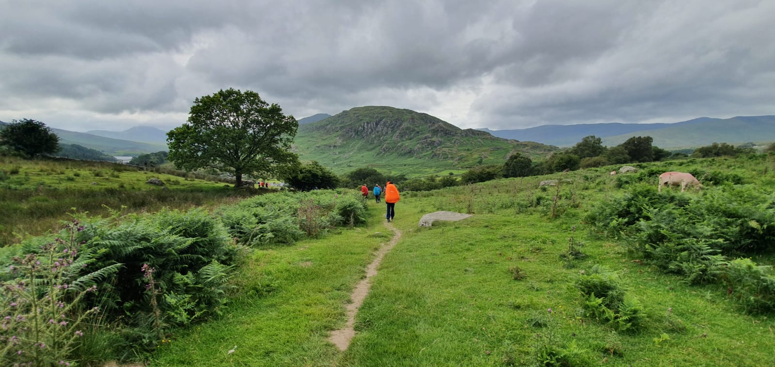 Golden DofE Award students are on top of the world