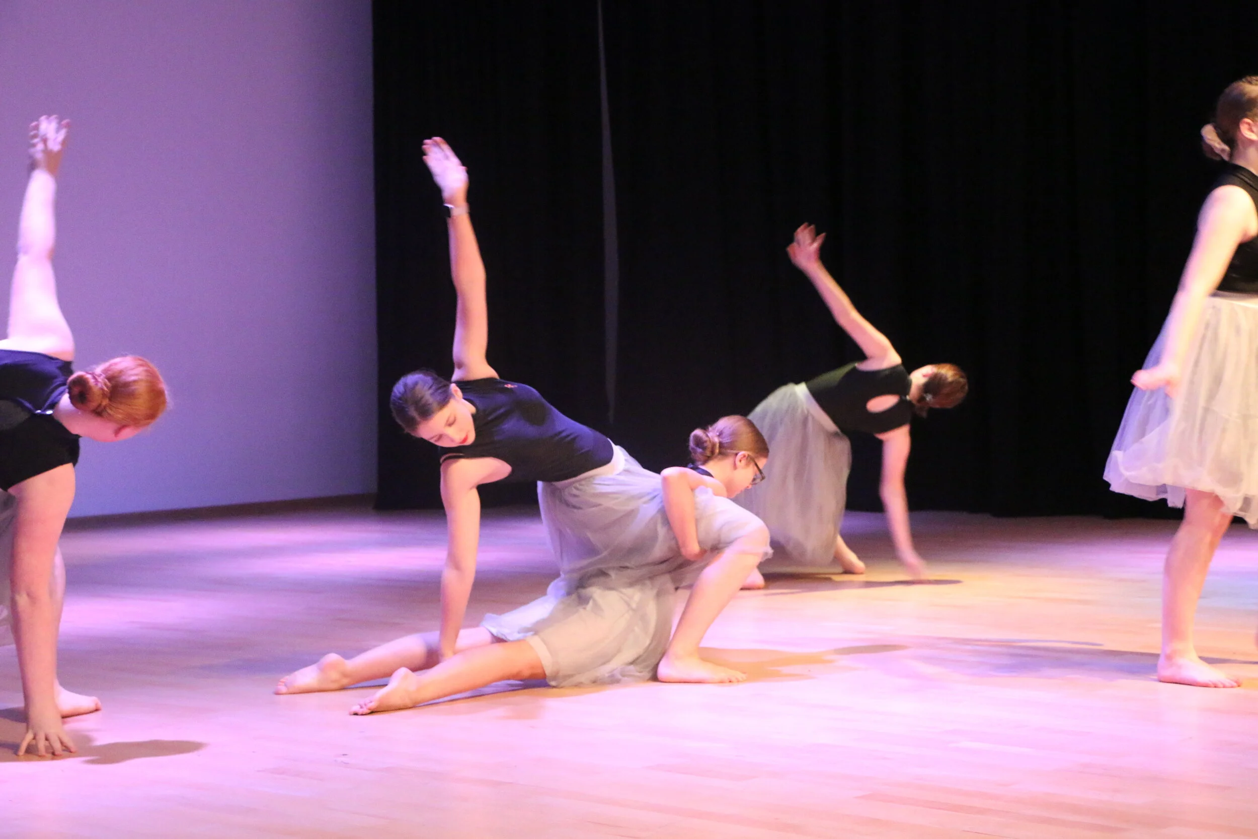 Performers showcase talents at dance celebration 