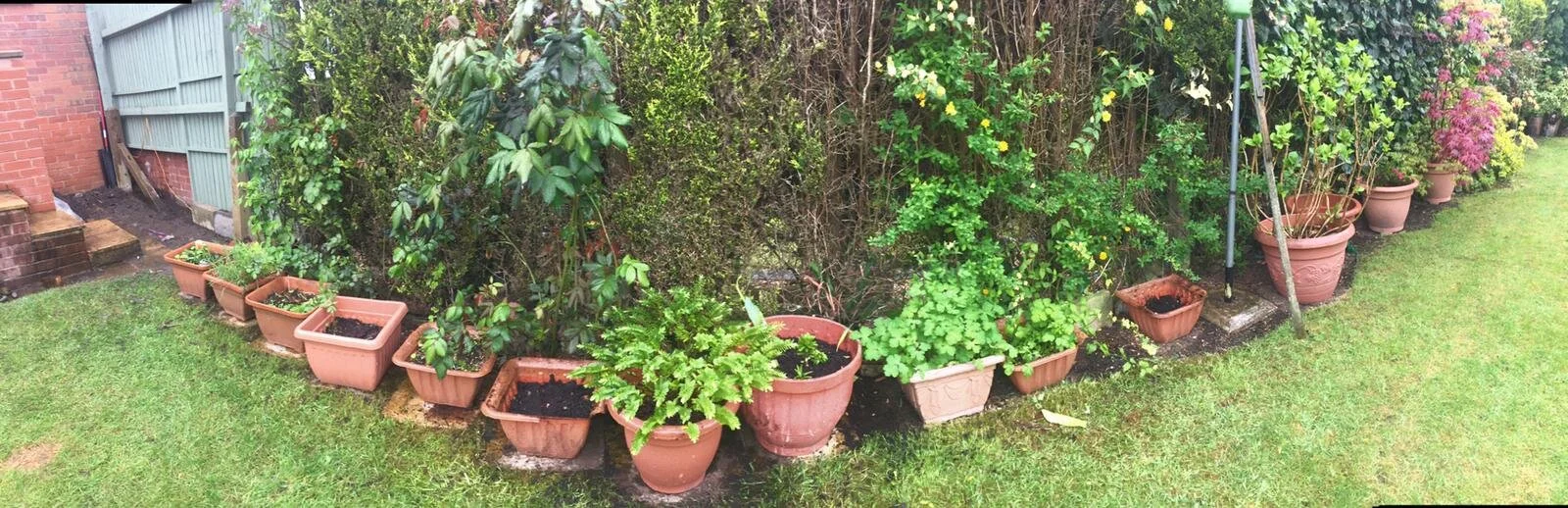 Eco-friendly students tackling climate change for Earth Day