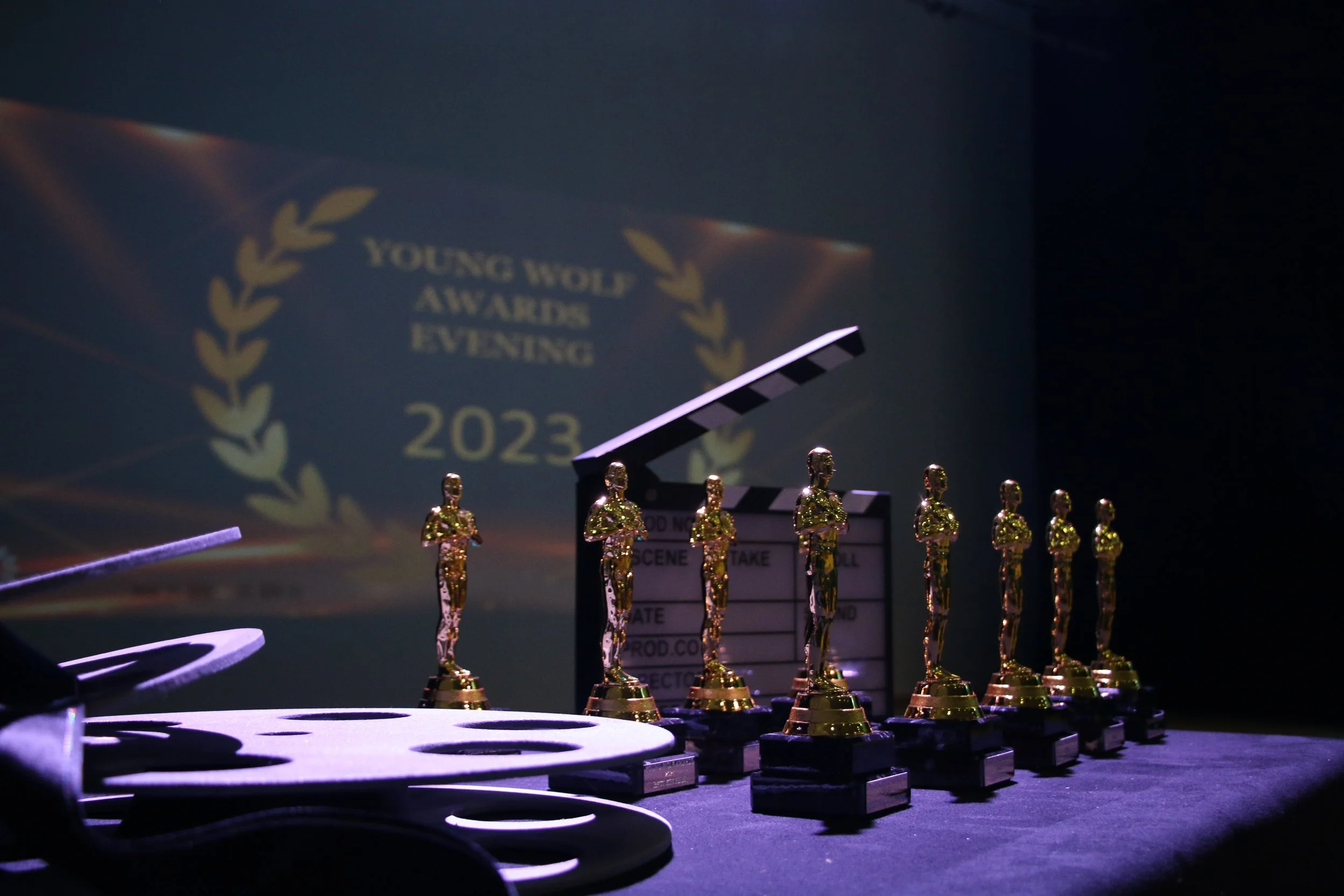 Students Shine Bright at the Young Wolf Film Awards