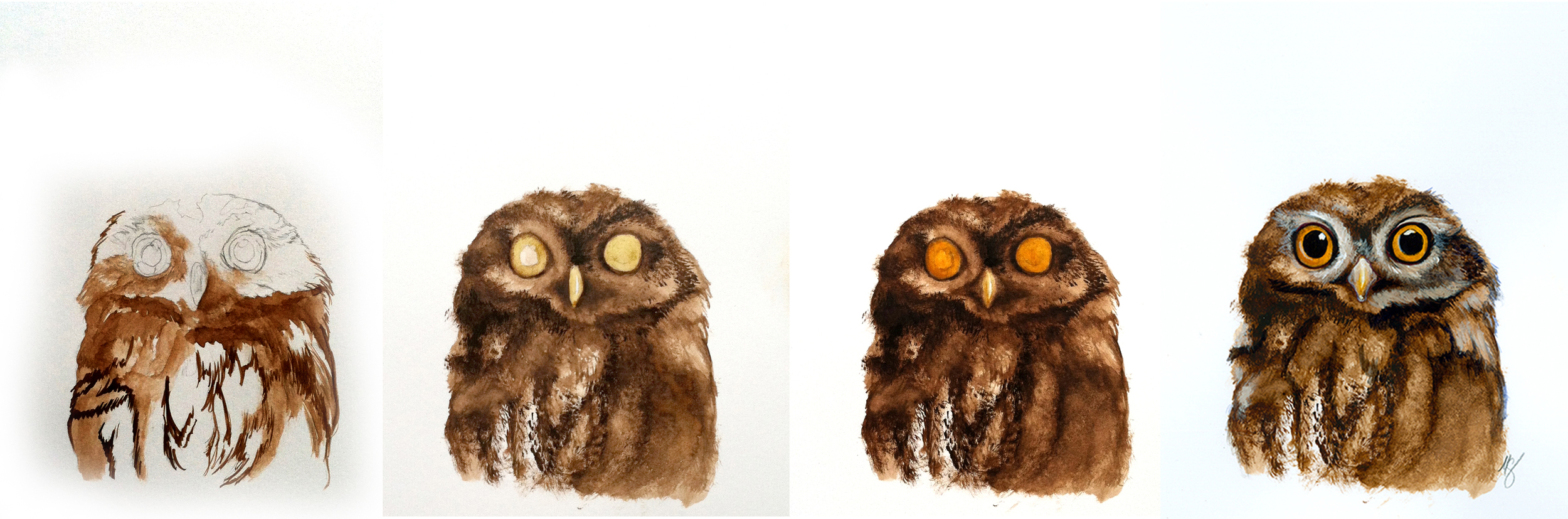 Here is a progression of the little Owl .. I started with a pencil sketch from a picture of a baby owl and then built up his ruffled feathers in watercolor…Those yellow eyes really pop due to the contrast!