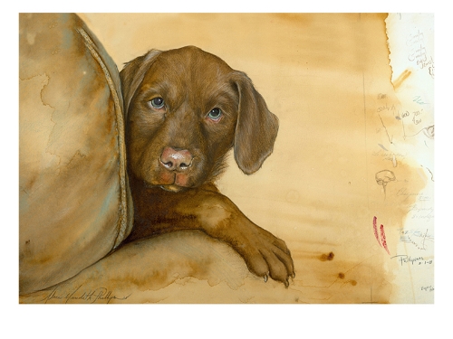 Murphy as a puppy. This is one of my favorite portraits!