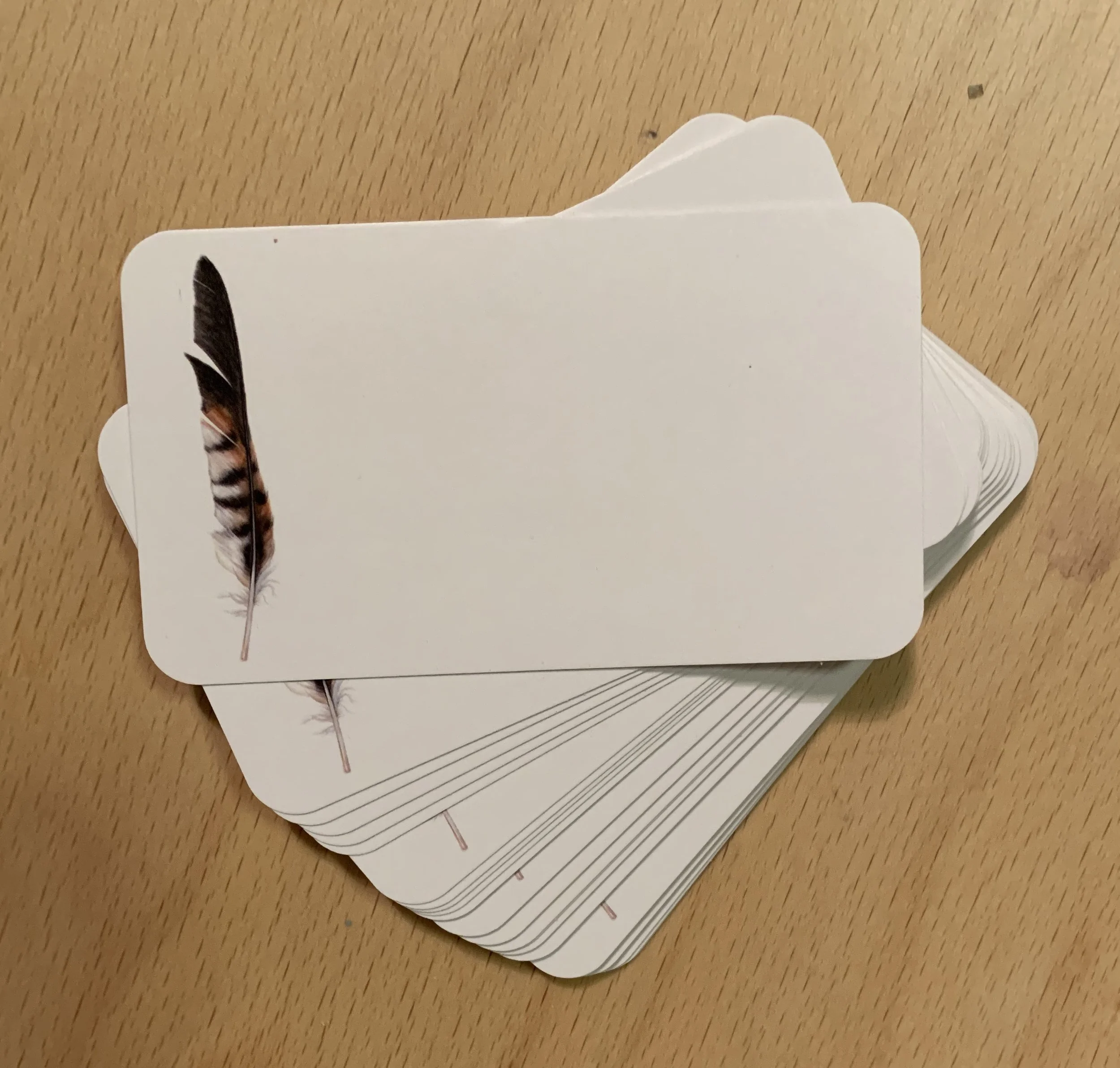 Feather.jpg
