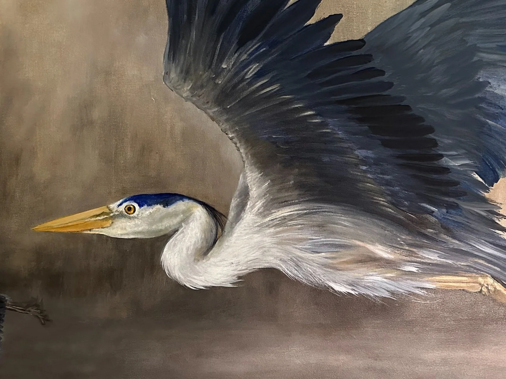 Blue+Heron+copy.jpg
