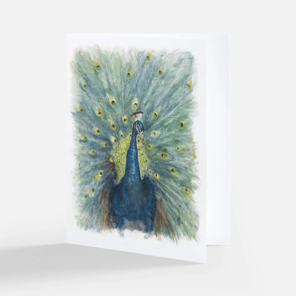 Peacock Preview.jpeg