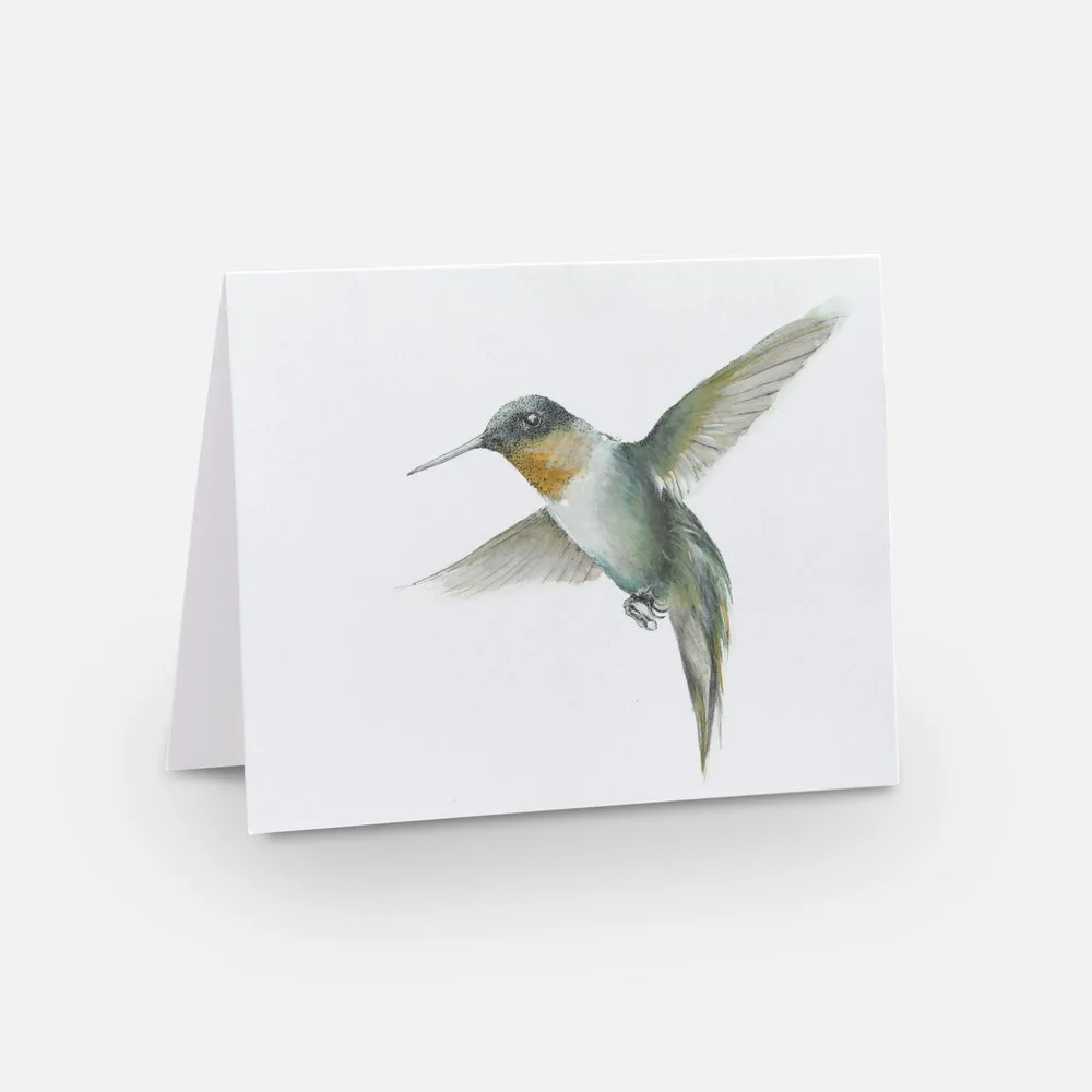 Hummingbird preview.jpeg