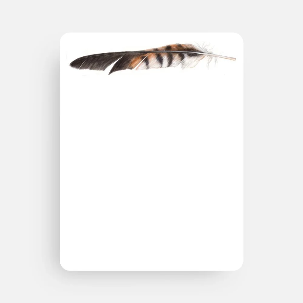 Feather preview.jpeg