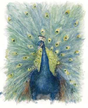 Gillespie,+Peacock+6.jpg