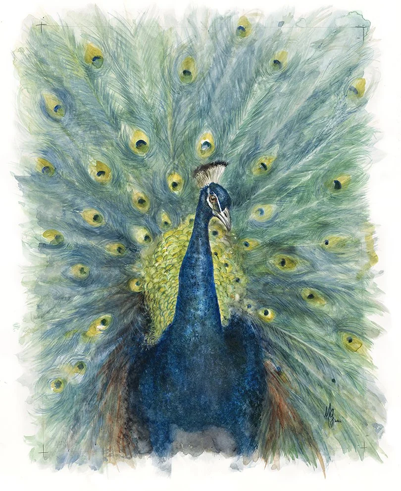 Gillespie, Peacock Notecards copy.jpg