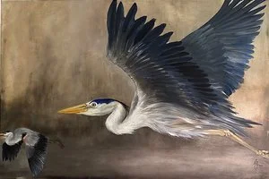 1.Blue+Heron.jpg