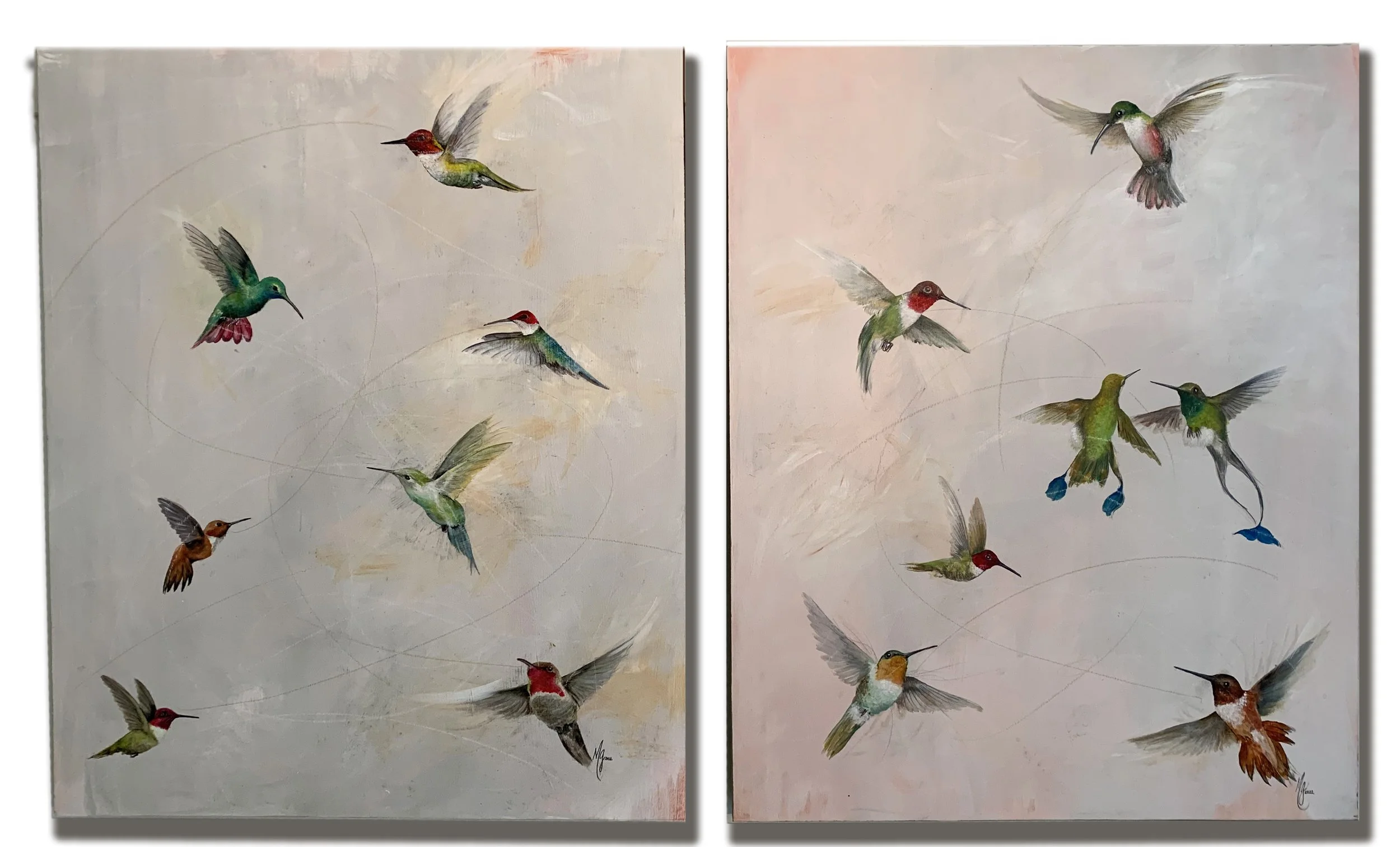 HummingbirdDewees copy.jpg