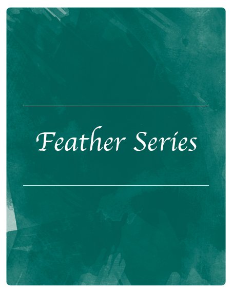 Meredith_Site_Elements_Shops_Feather Series.jpg