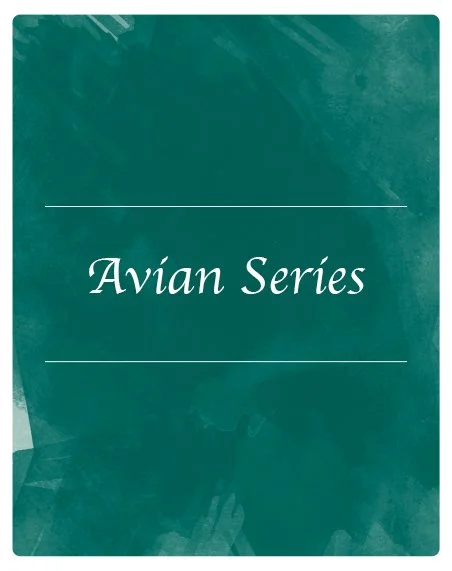 Meredith_Site_Elements_Shops_Avian Series.jpg