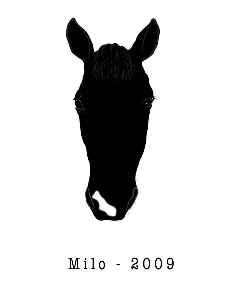 Milo.jpg