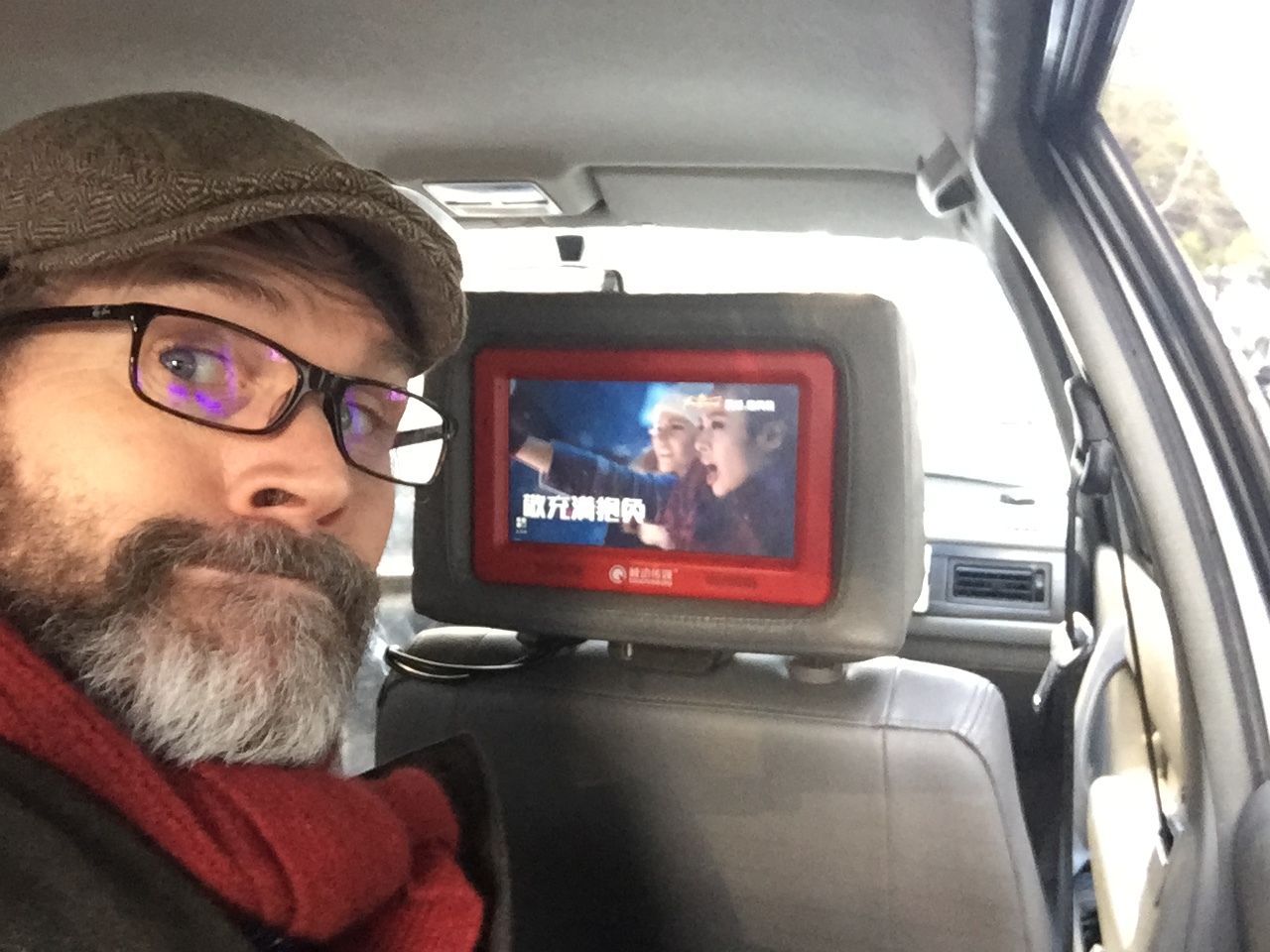 It passed the Taxi test on this 'professionally calibrated' seat back LCD
