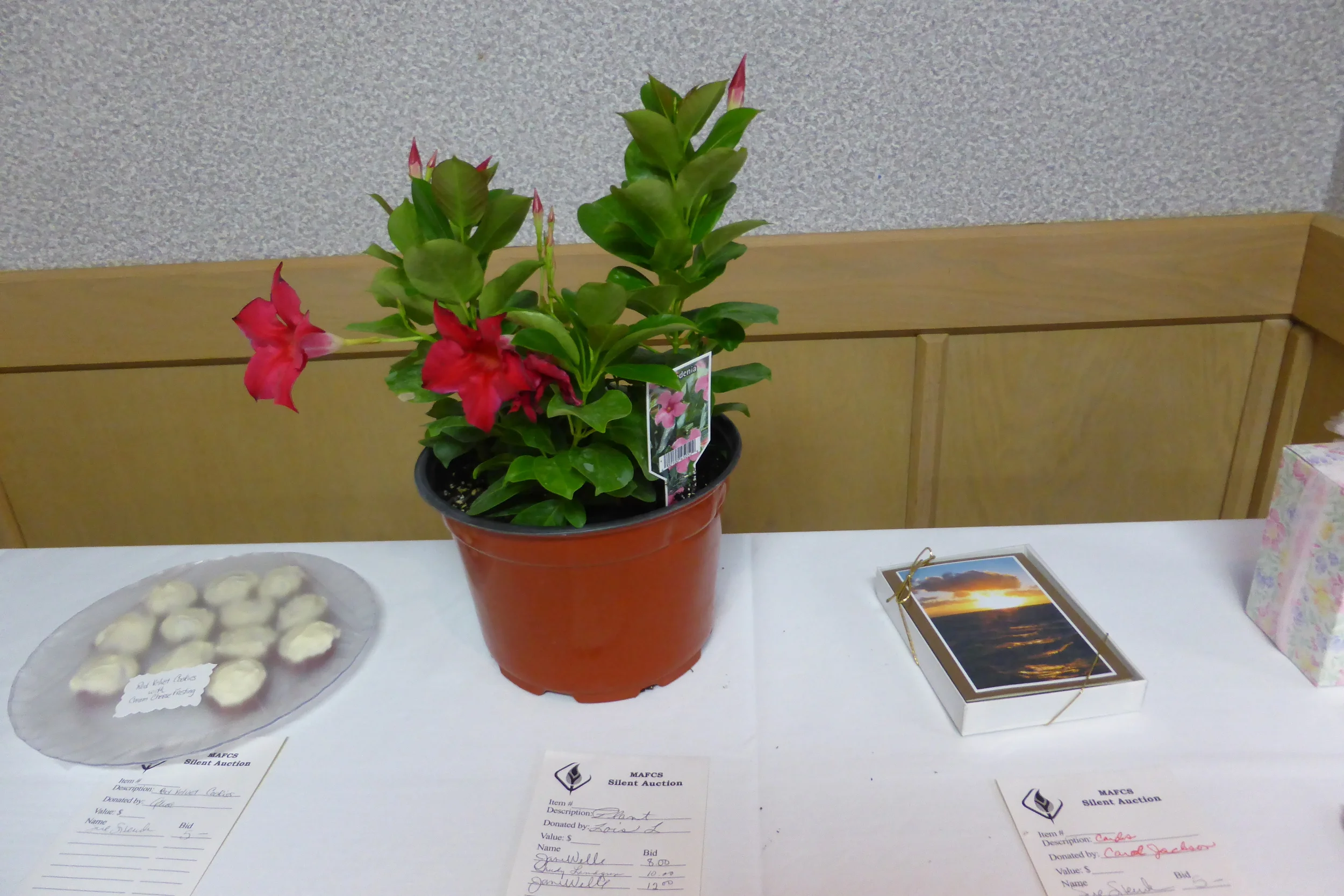 P1020252.JPG