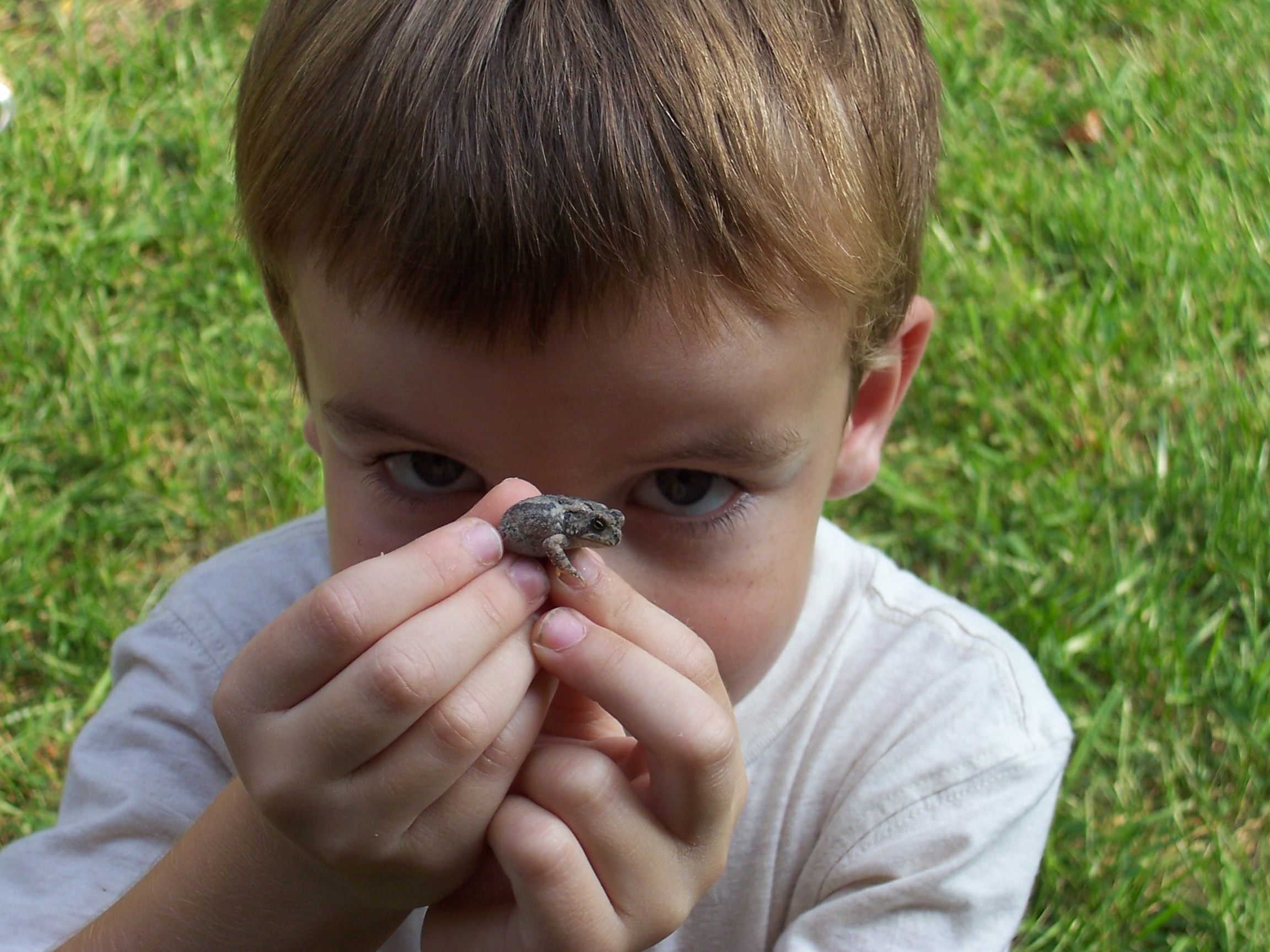 This is my son, my beloved, in whom I am well pleased.
