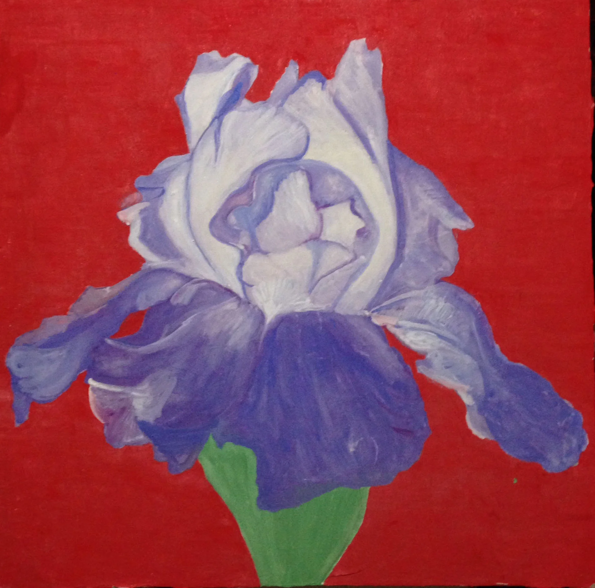 Mark Turgeon Iris, 2008 Fresco on plaster on wood 24" x 24" Retail Value: $2500 Opening Bid: $1200