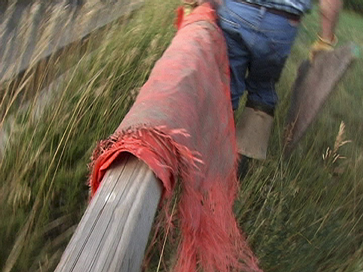 MOVING THE WATER/ORANGE TARP