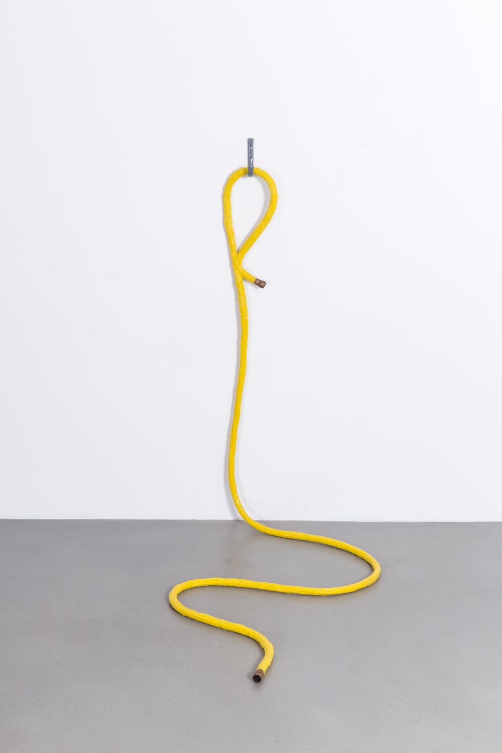 Water hose, Live Strong, 2015