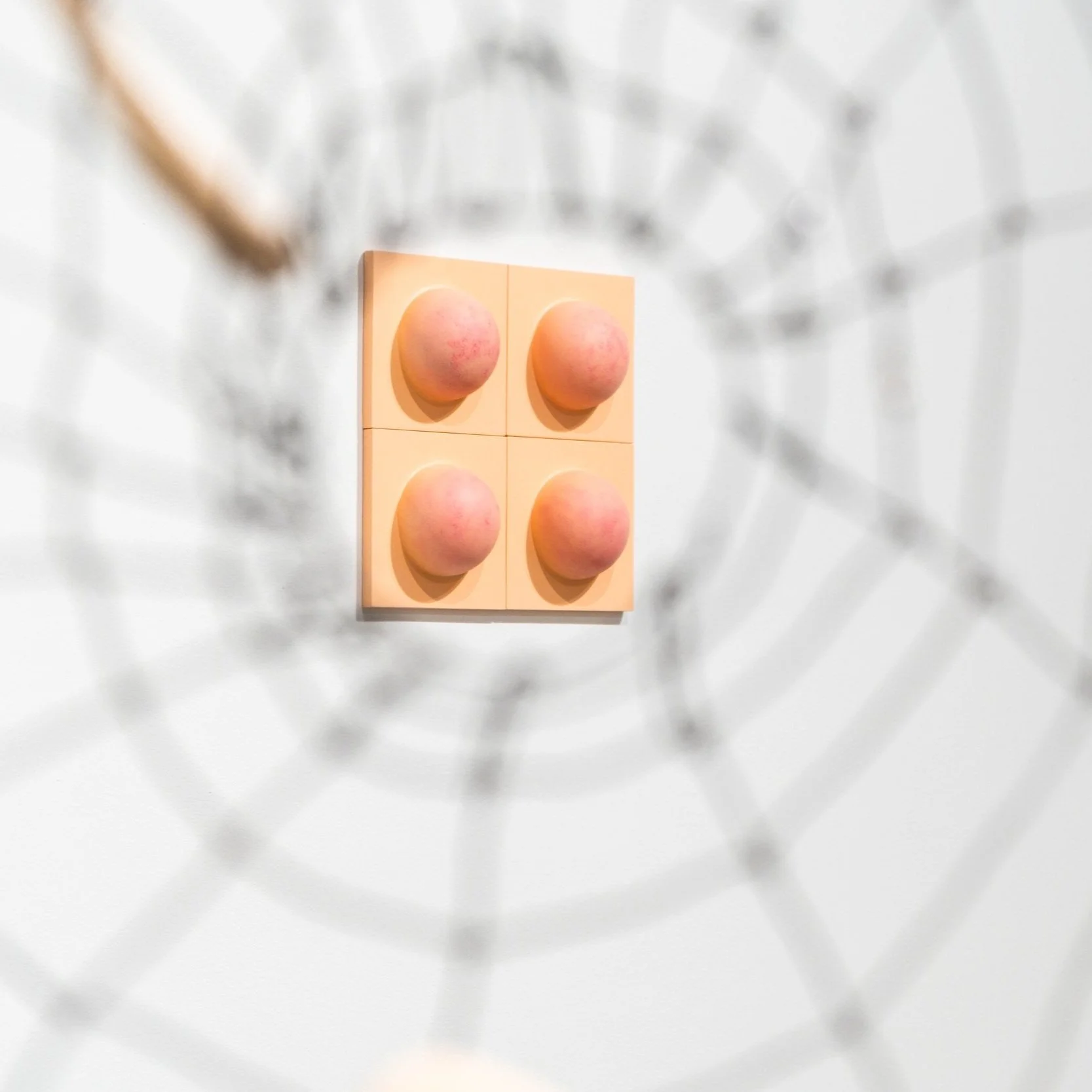 Closing Reception + End of Year Celebration: Insight Outsight by Ling-lin Ku