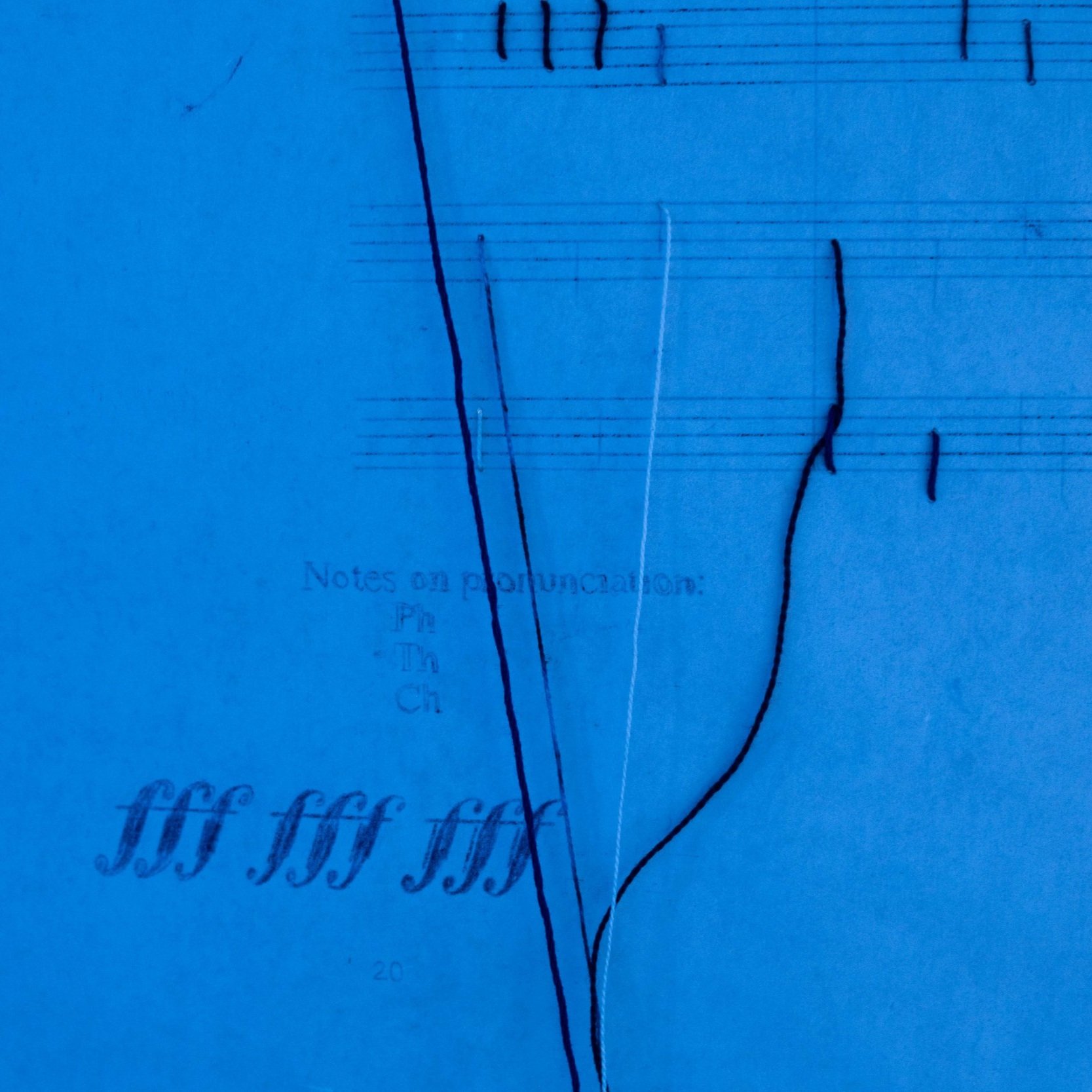 Opening Reception: "worried notes" by Keli Safia Maksud