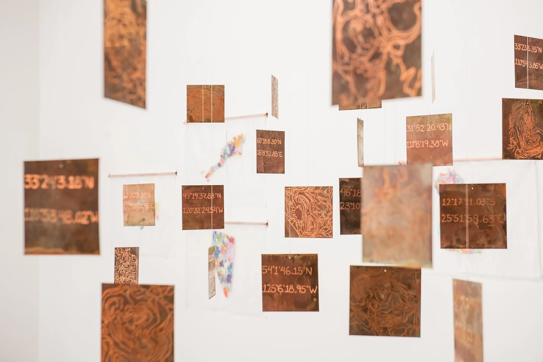 Carolina Aranibar-Fernandez.jpeg