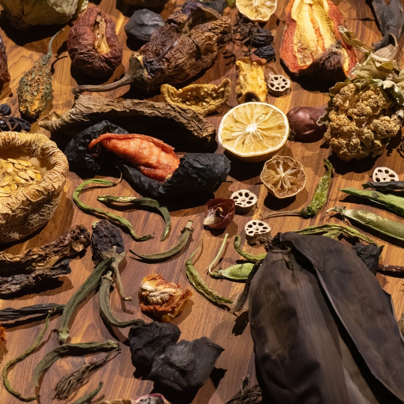 Opening Reception: "This Fire That Warms You" by Tsohil Bhatia