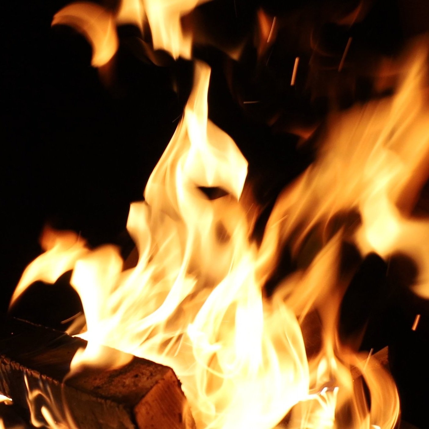 Closing Program: "This Fire That Warms You" by Tsohil Bhatia